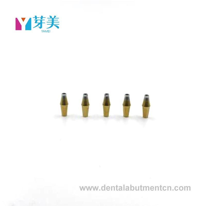 Prothetische abutment: de 